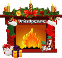 a christmas greeting